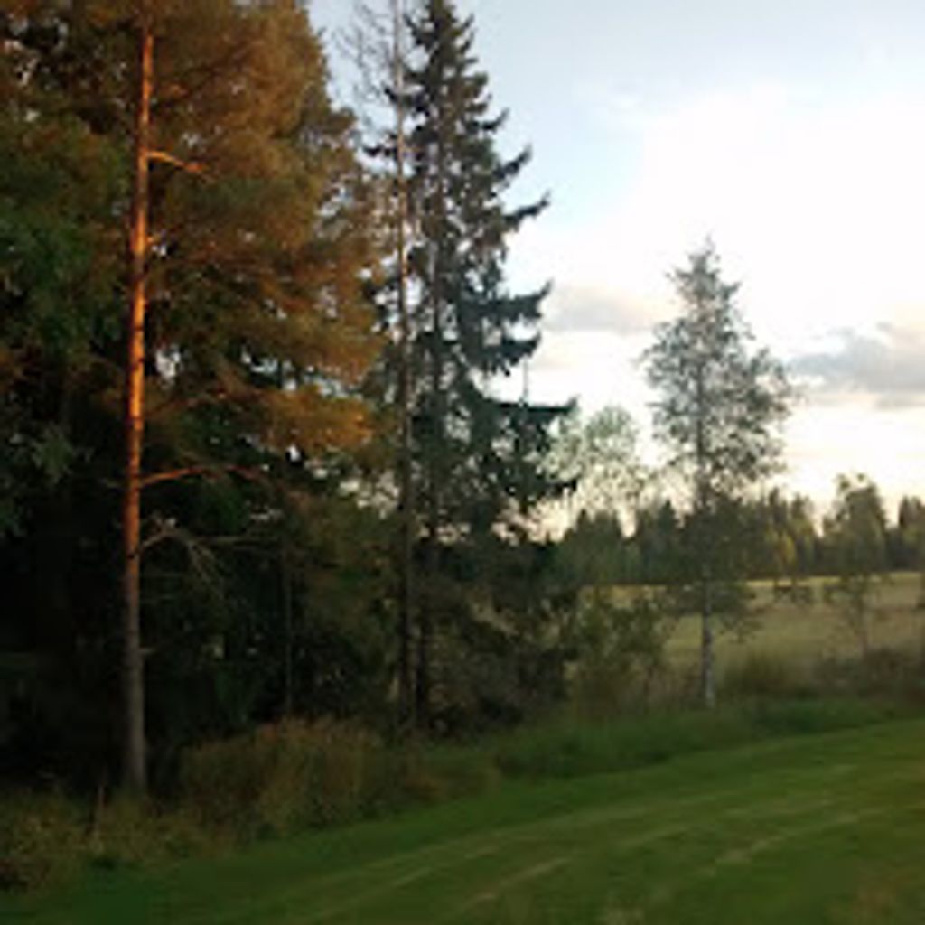 Trees