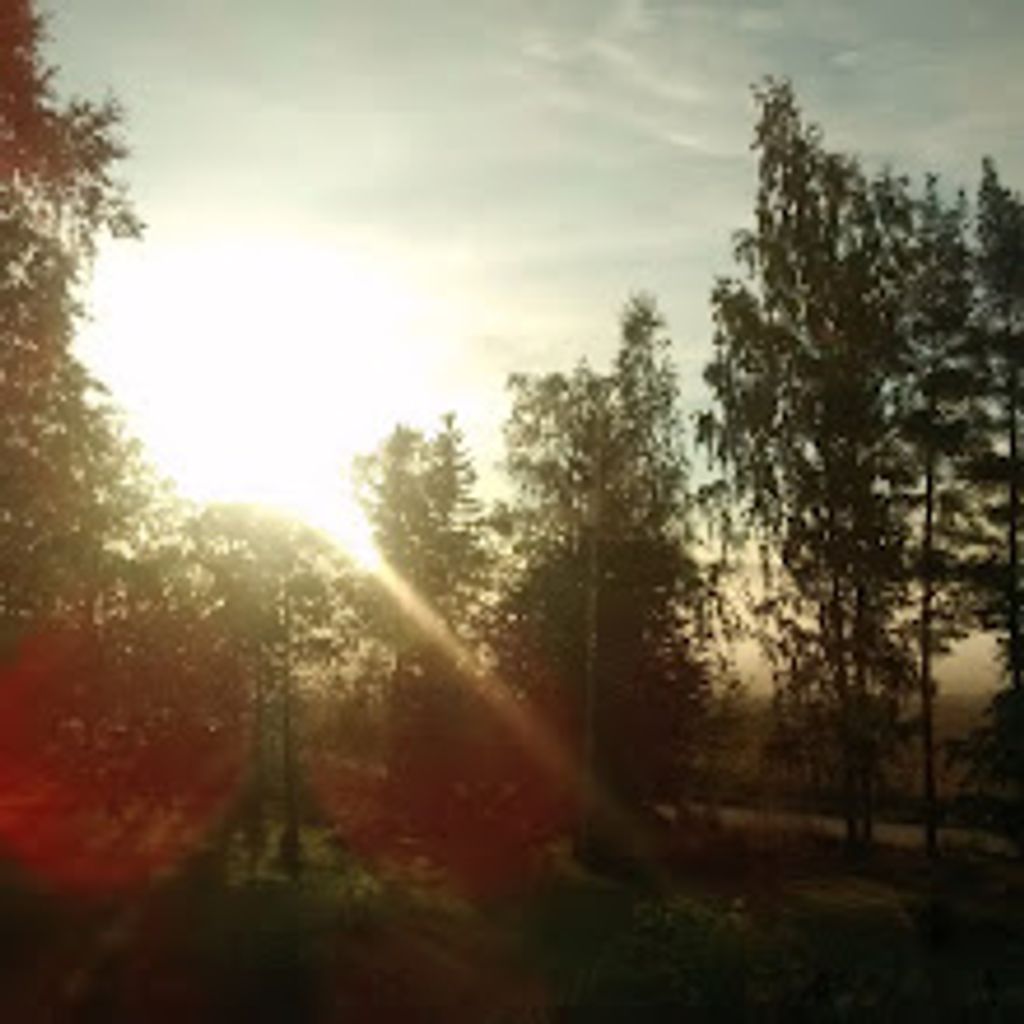 Sunrise