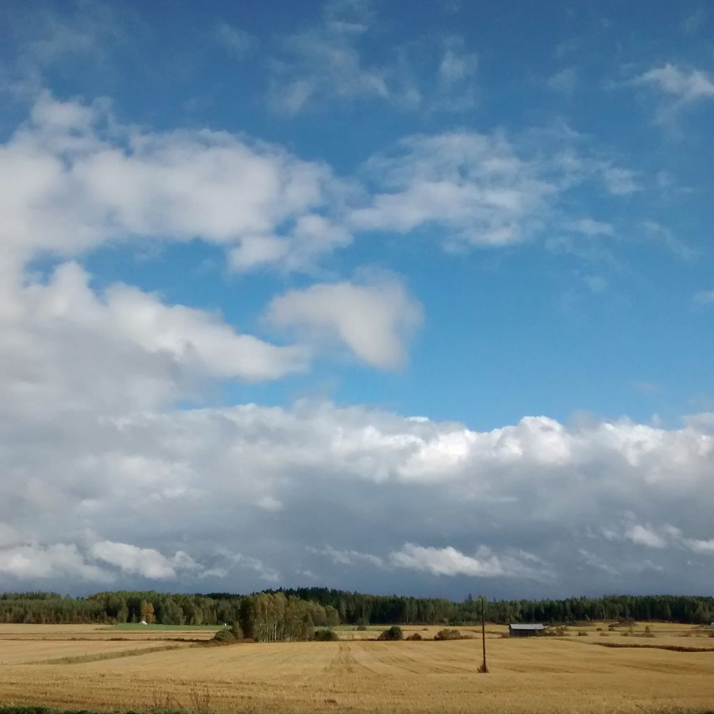 Autumn Sky