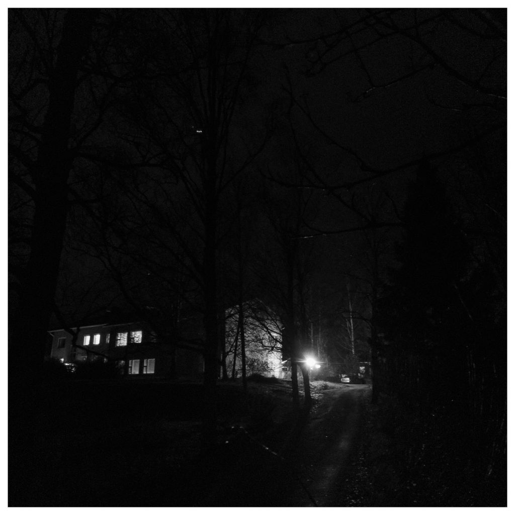 Lights in the Dark