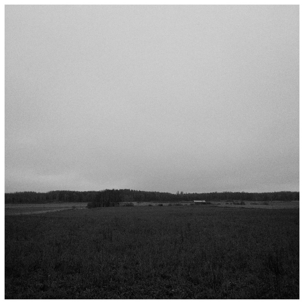 Gray Fields on a Gray Day