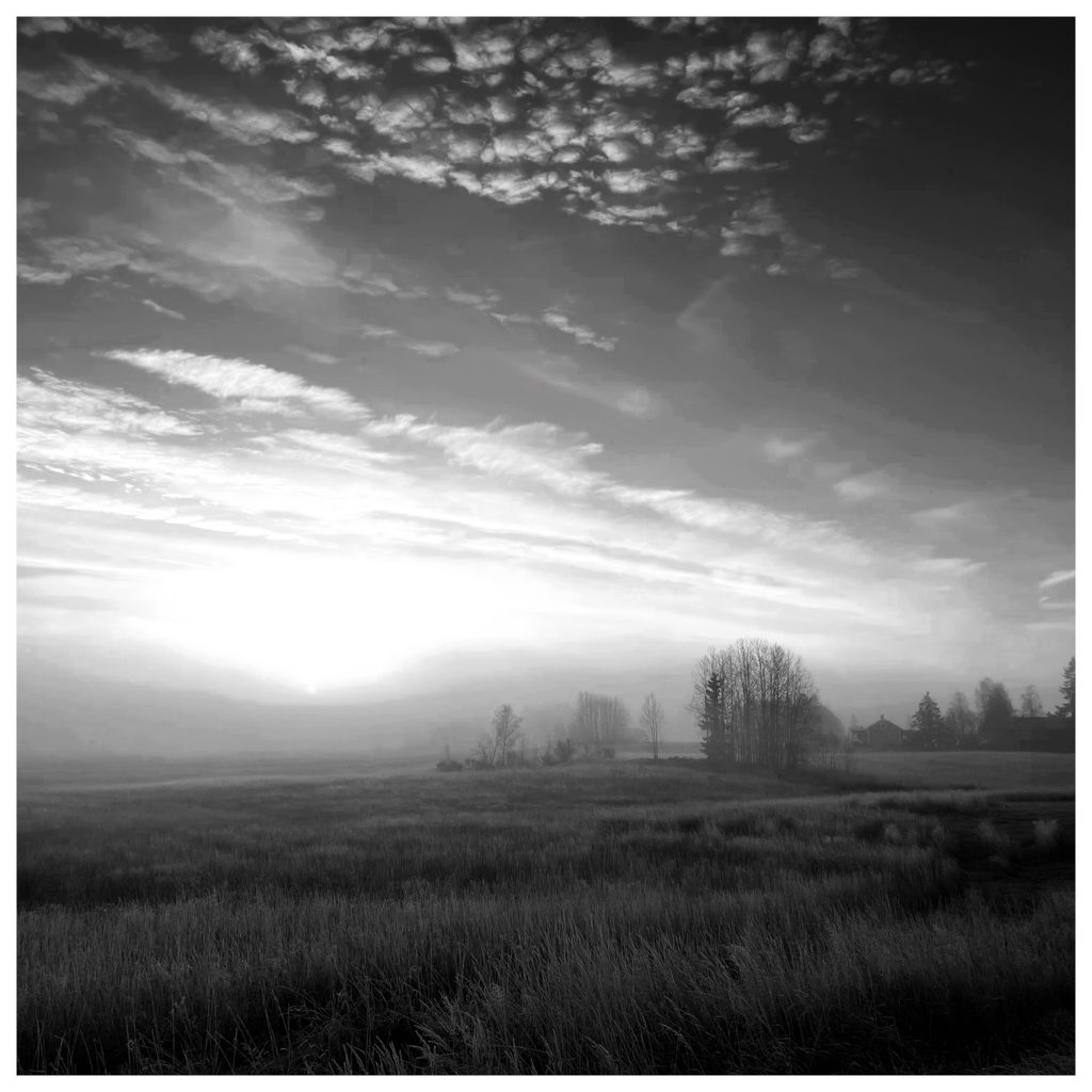Foggy Morning