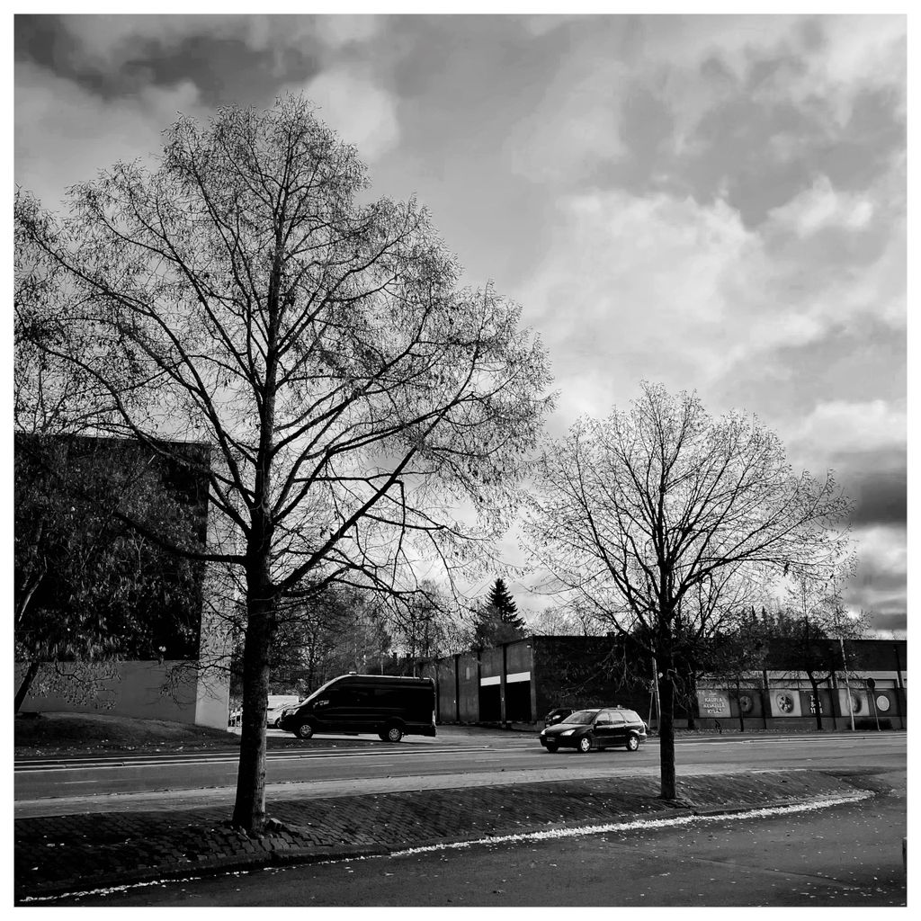 Streets in Autumn