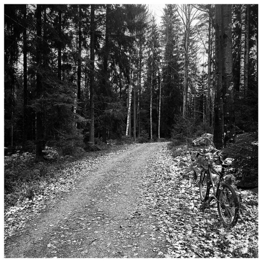 Riding the Trails